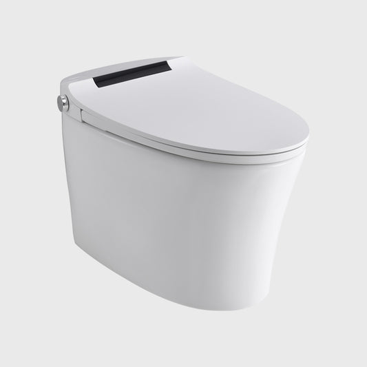 1100065592 Modern Smart Toilets