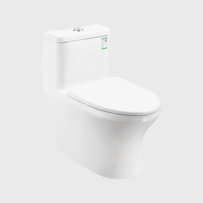 1100049664 Modern Traditional Toilets