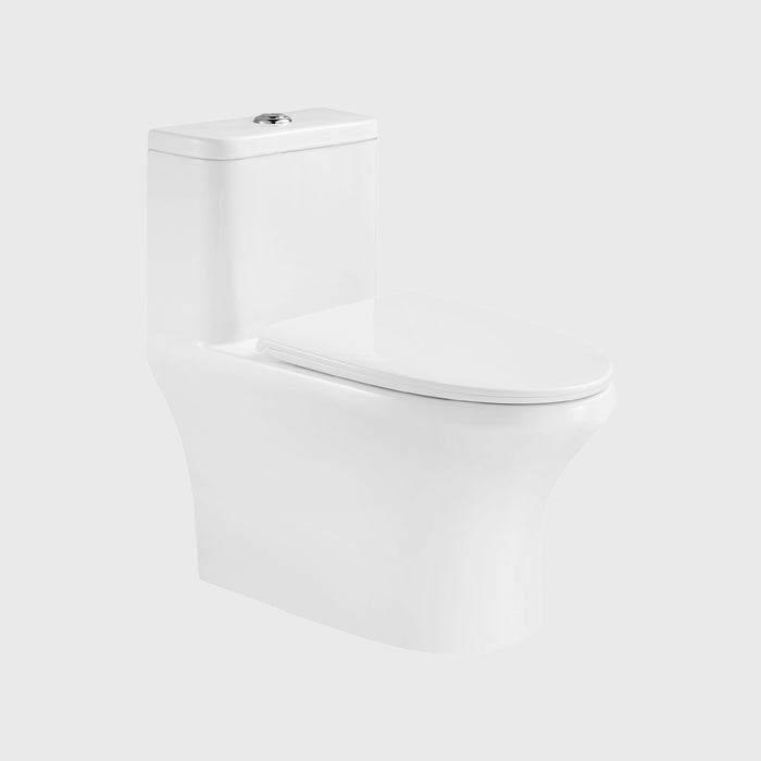 1100049664 Modern Traditional Toilets