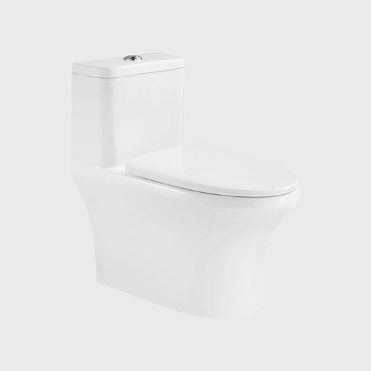 1100049664 Modern Traditional Toilets